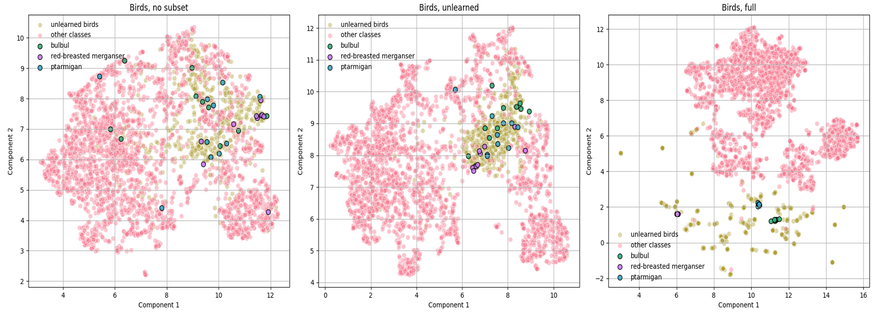 UMAP visualization